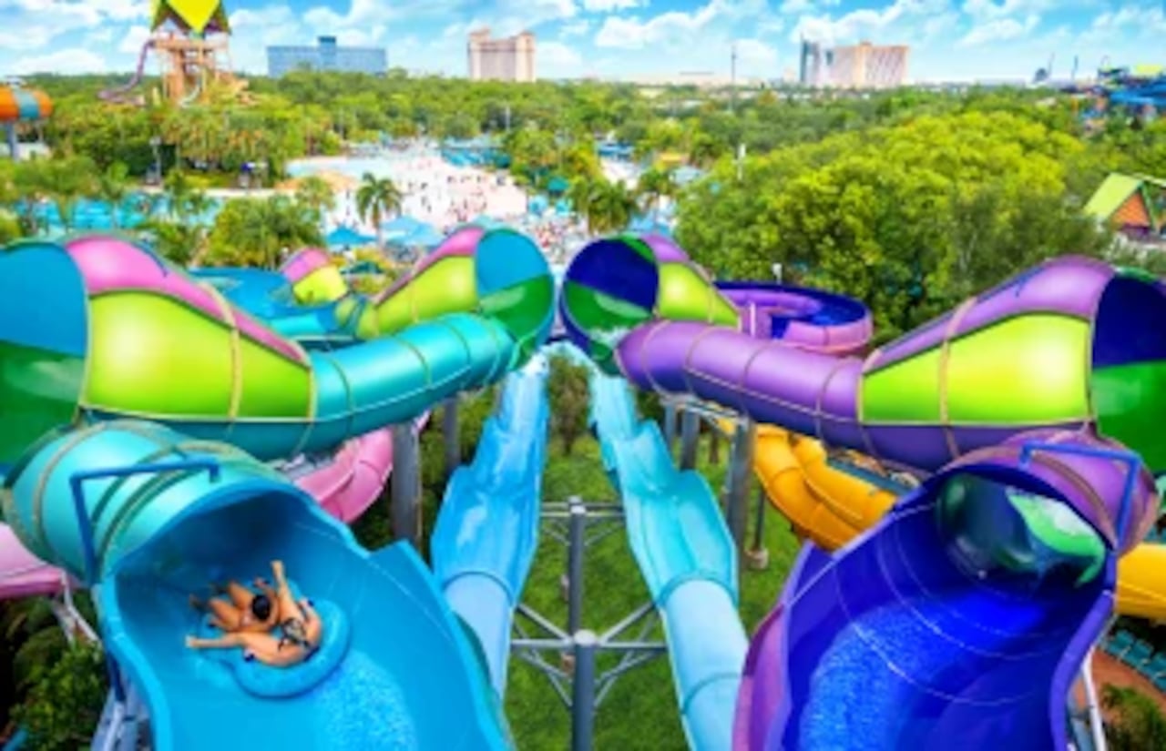 Omaka Rocka
Experimenta Omaka Rocka, un tobogán acuático en el que los usuarios se deslizan a toda velocidad por canales que desembocan en enormes embudos, ascendiendo rápidamente por un lado y luego por el otro.