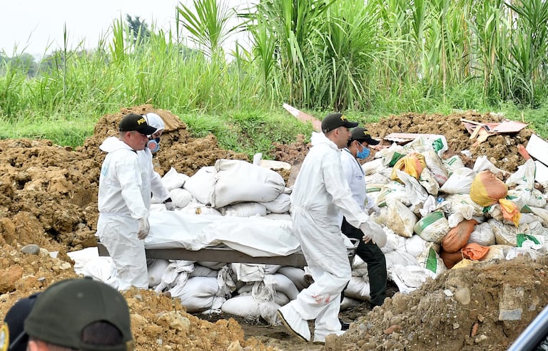 Valle, Cauca y Antioquia lideran las cifras de masacres en el país, según Indepaz. El control territorial y de las economías ilegales son los principales motivos de los asesinatos que afectan a las comunidades.