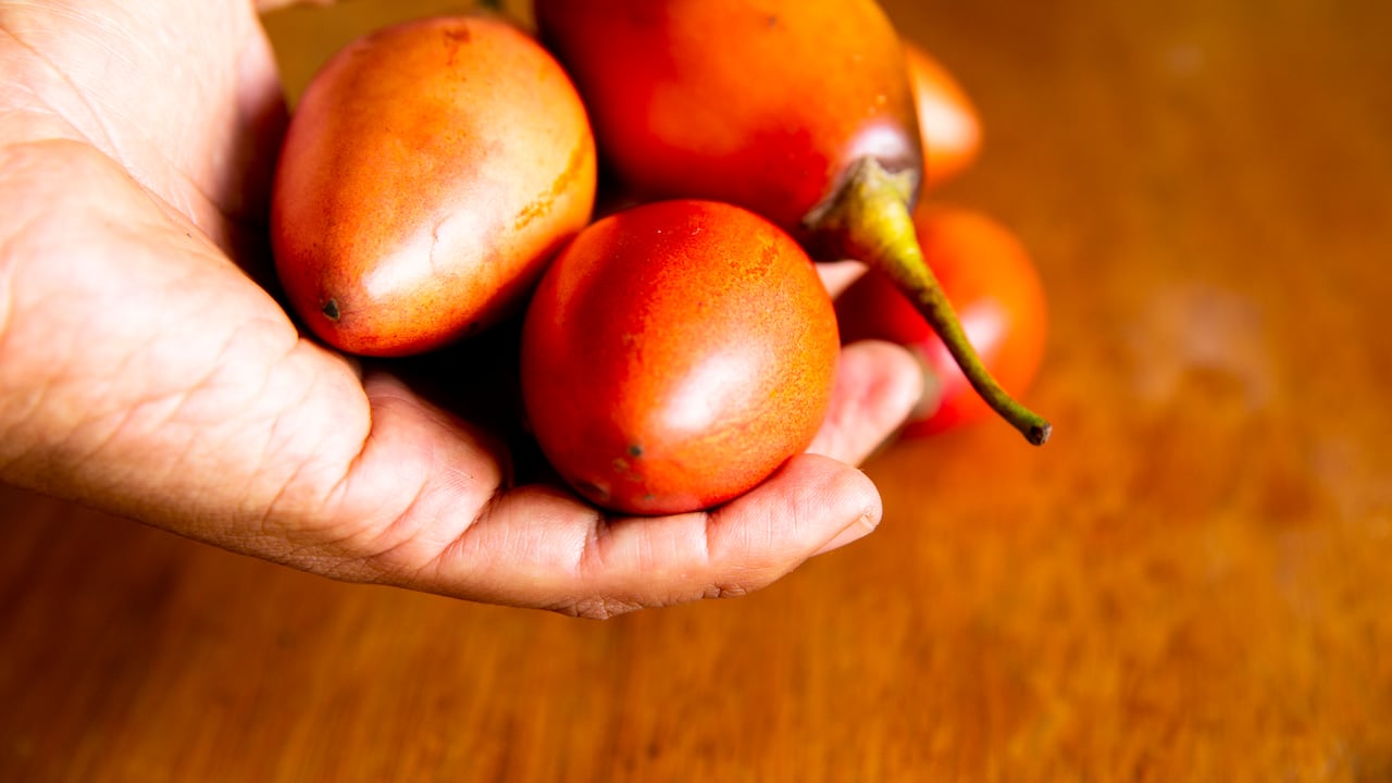 Nuevos hallazgos sugieren que el jugo de tomate de árbol podría ser clave en la lucha contra bacterias que afectan la salud humana, gracias a sus propiedades antimicrobianas.