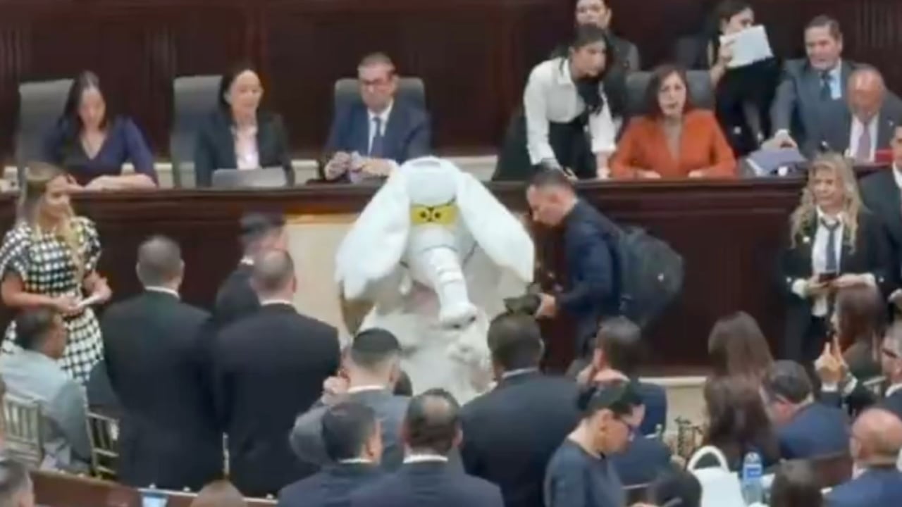Elefante Blanco en el Congreso