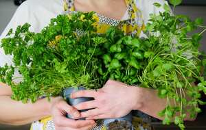 Esta hierba también sirve para desintoxicar el hígado.