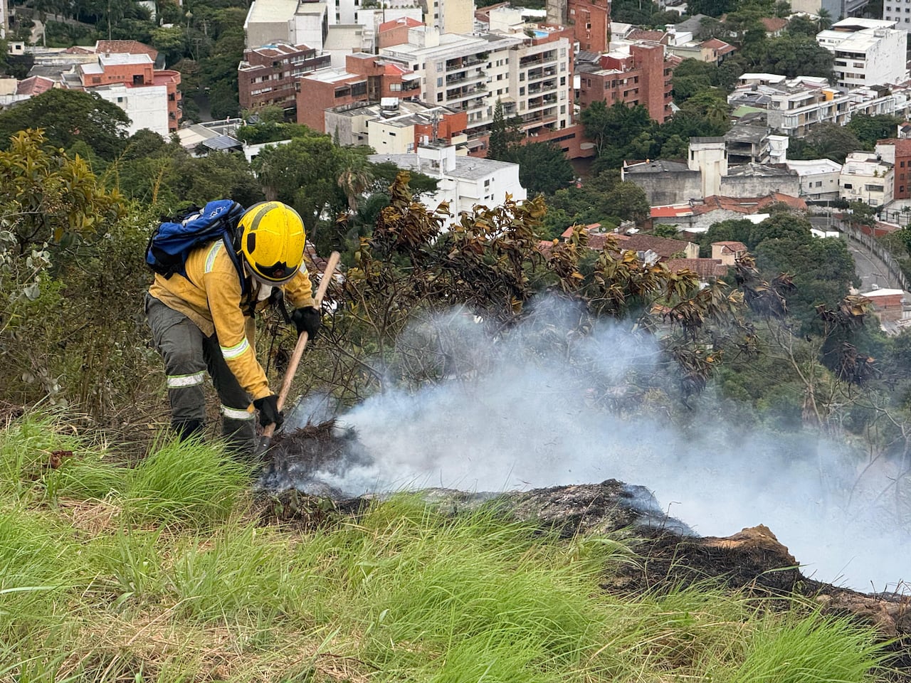 Un total de 40 bomberos se trasladaron al sitio para atender la emergencia.