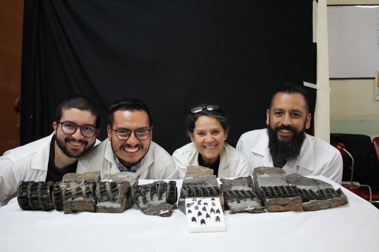 Tiburón prehistórico descubierto en Villa de Leyva.