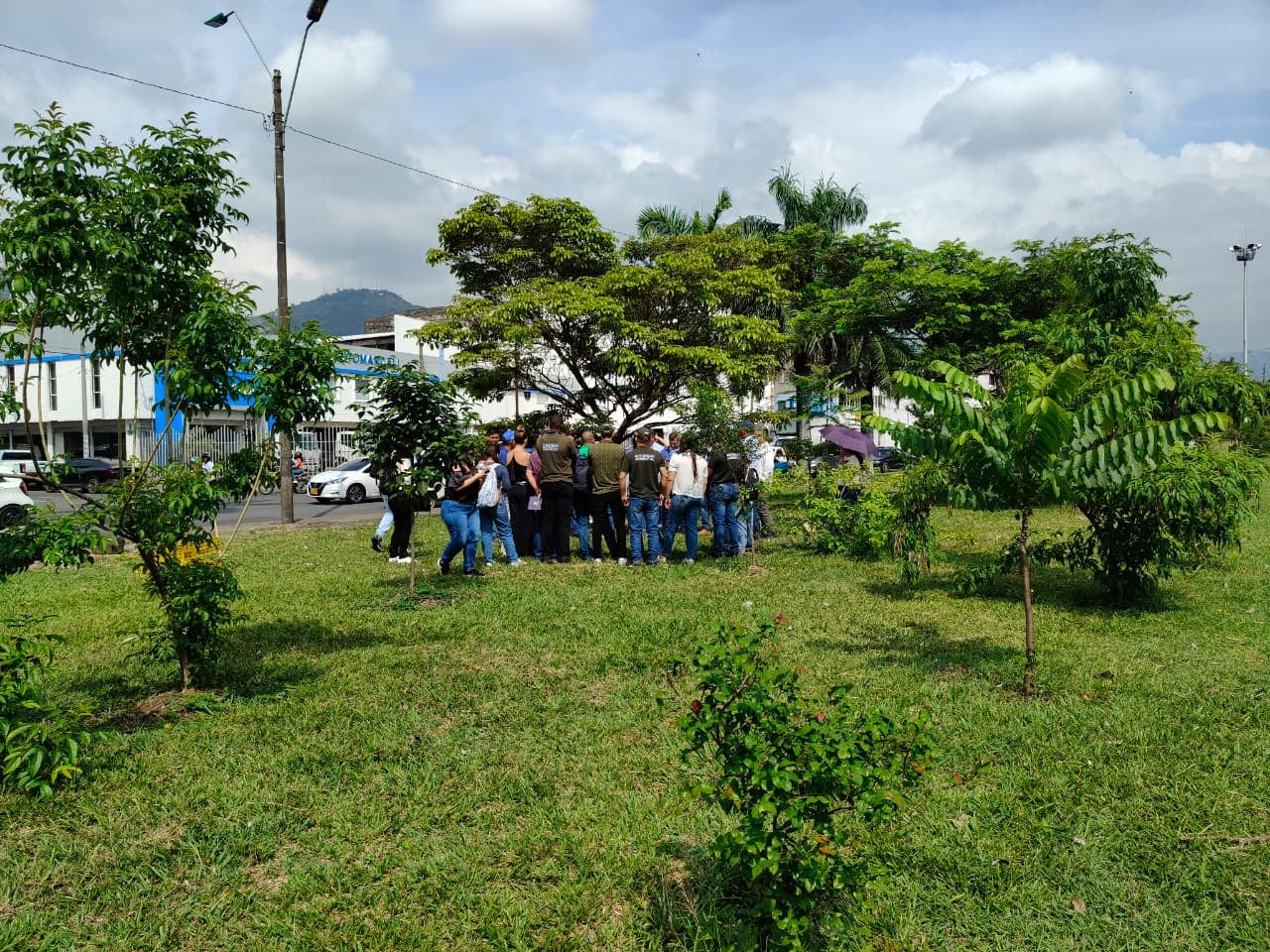 Recorrido por el corredor vial de la calle 25, con delegados de la Comuna 3, grupos sociales, la Personería Municipal, y representantes del Dagma y Corfecali, para avanzar en proceso de concertación del traslado de árboles en este sector. Fotos Jorge Orozco