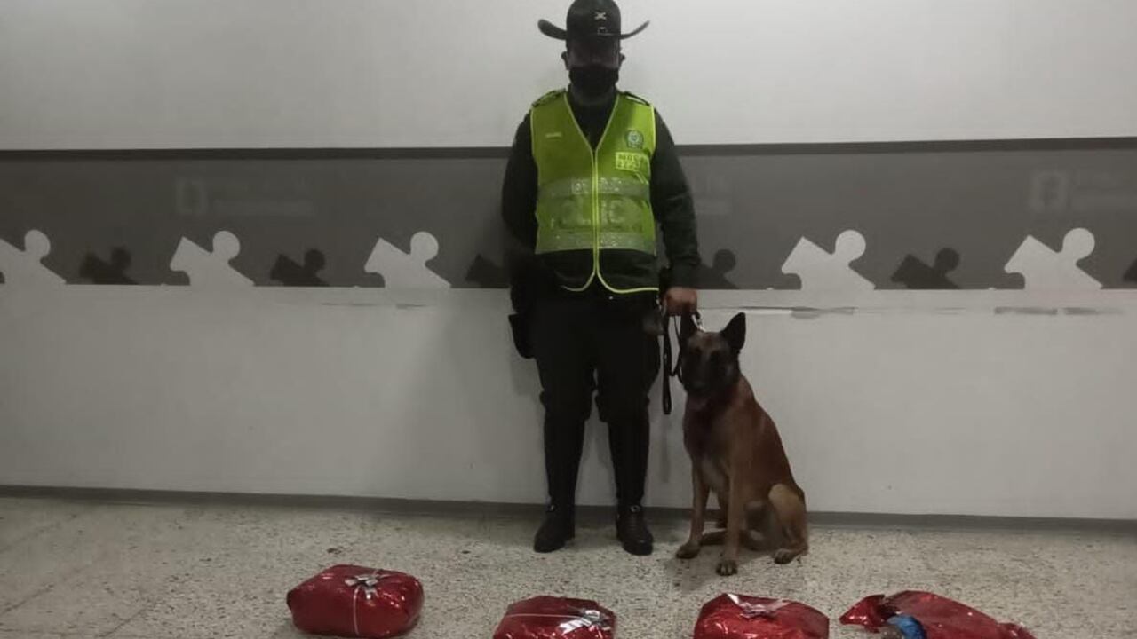 La droga oculta en mercancía iba en cajas con empaques de Navidad. Las autoridades aumentaron los controles durante la época de fin de año.