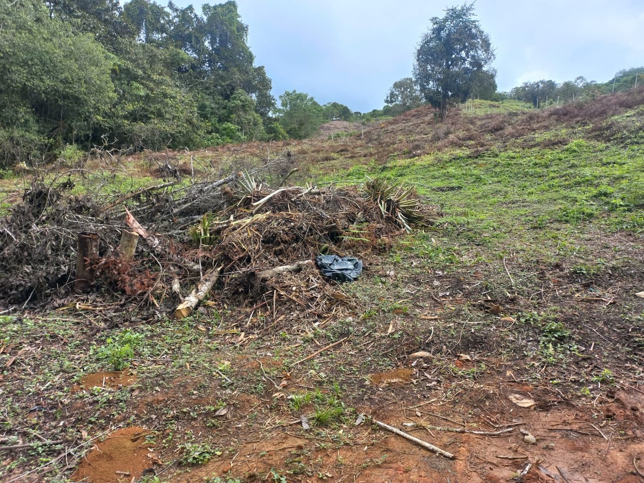 Habitantes de cuatro veredas denuncian deforestación y venta de lotes en área protegida de La Cumbre