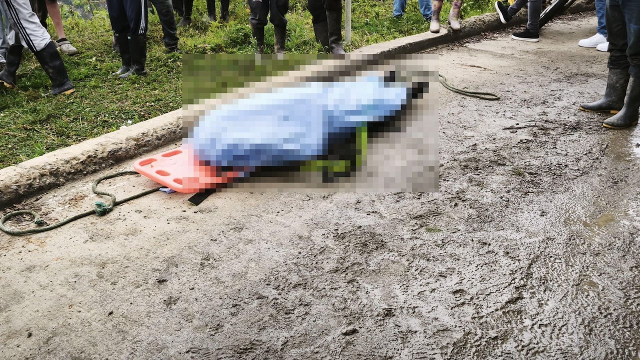 En el siniestro vial perdió la vida el conductor del vehículo, identificado como Rigoberto Penagos, quien falleció en el lugar de los hechos.