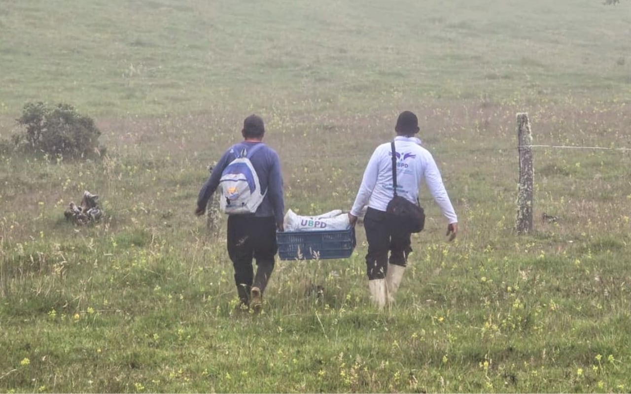 Comunidades, familiares y organizaciones humanitarias se unieron para localizar a personas desaparecidas en zonas de difícil acceso en Nariño.