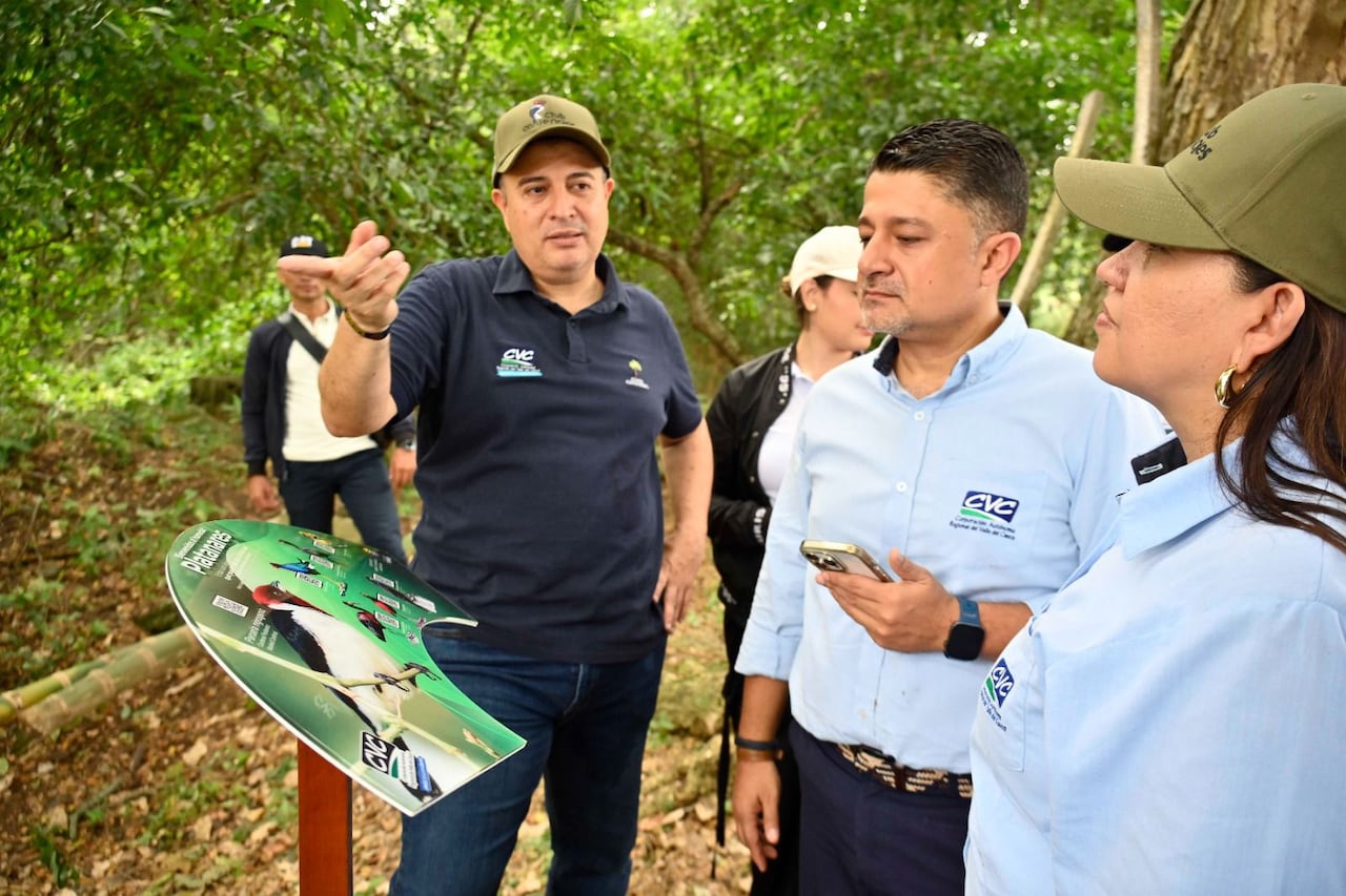 “El Valle geográfico del río Cauca cuenta con 91 humedales, y Platanares fue elegido como escenario de esta conmemoración por convertirse en un ejemplo de restauración ambiental y articulación interinstitucional, dijo Marco Antonio Suárez, director de la CVC.