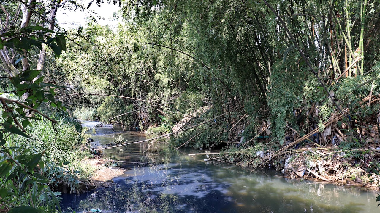 El Rio Cali presenta problemas de contaminación, inseguridad, indigencia que afectan a todos los estratos que atraviesa.