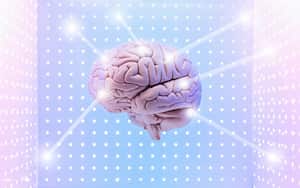 Actividad del cerebro humano