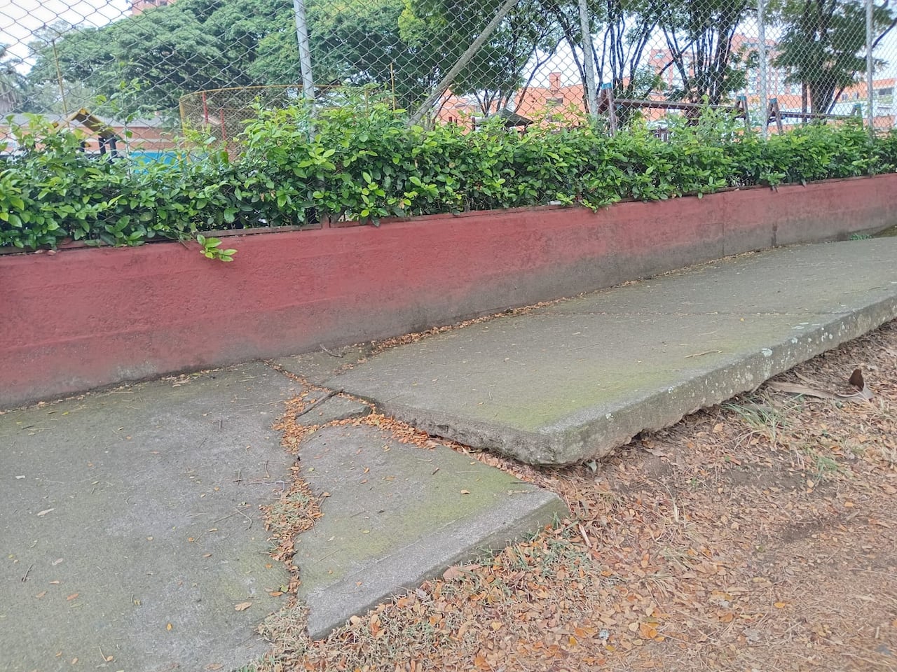 Vecinos afirman que las raíces de un árbol habrían levantado gran parte del andén, generando dificultades para la movilidad peatonal.