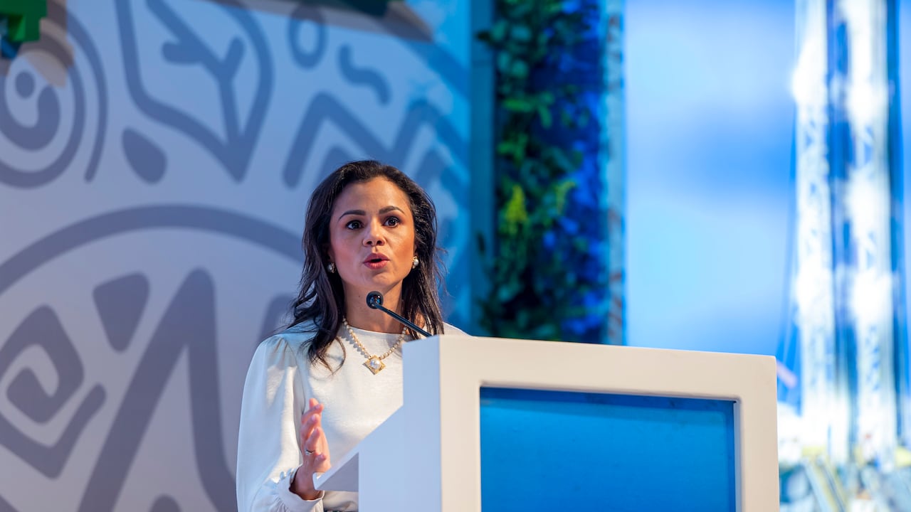 Luz Stella Murgas, presidente de Naturgas, se refirió al futuro del abastecimiento de gas en Colombia.