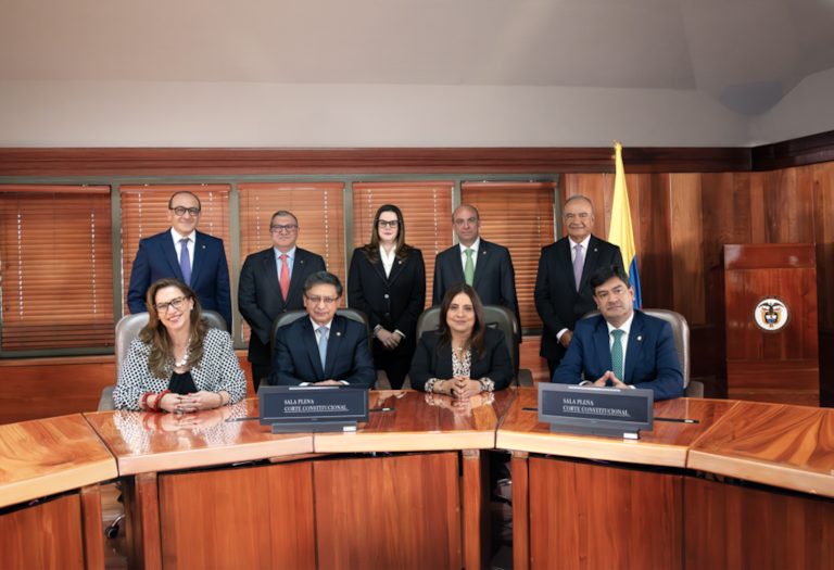 os magistrados de la Sala Plena de la Corte Constitucional posan en Bogotá en 2025. Sentados, de izquierda a derecha, Natalia Ángel Cabo; Jorge Enrique Ibáñez Najar, presidente de la Corte 2025-2026; Paola Andrea Meneses Mosquera, vicepresidenta 2025-2026; y Juan Carlos Cortés González. De pie, de izquierda a derecha, Vladimir Fernández Andrade; Miguel Polo Rosero; Lina Marcela Escobar Martínez; Carlos Camargo Assis; y Héctor Alfonso Carvajal Londoño