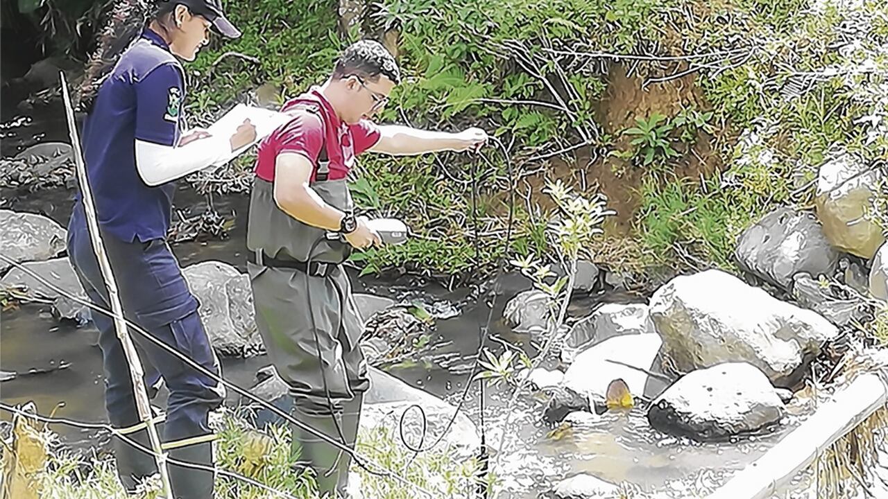 Desde el 2009, investigadores de la Universidad del Valle vienen monitoreando  el Dagua.