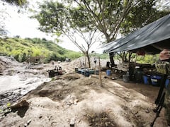 Según información de inteligencia, la infraestructura pertenecería al Ejército de Liberación Nacional, grupo señalado de financiarse mediante economías ilegales en la región.