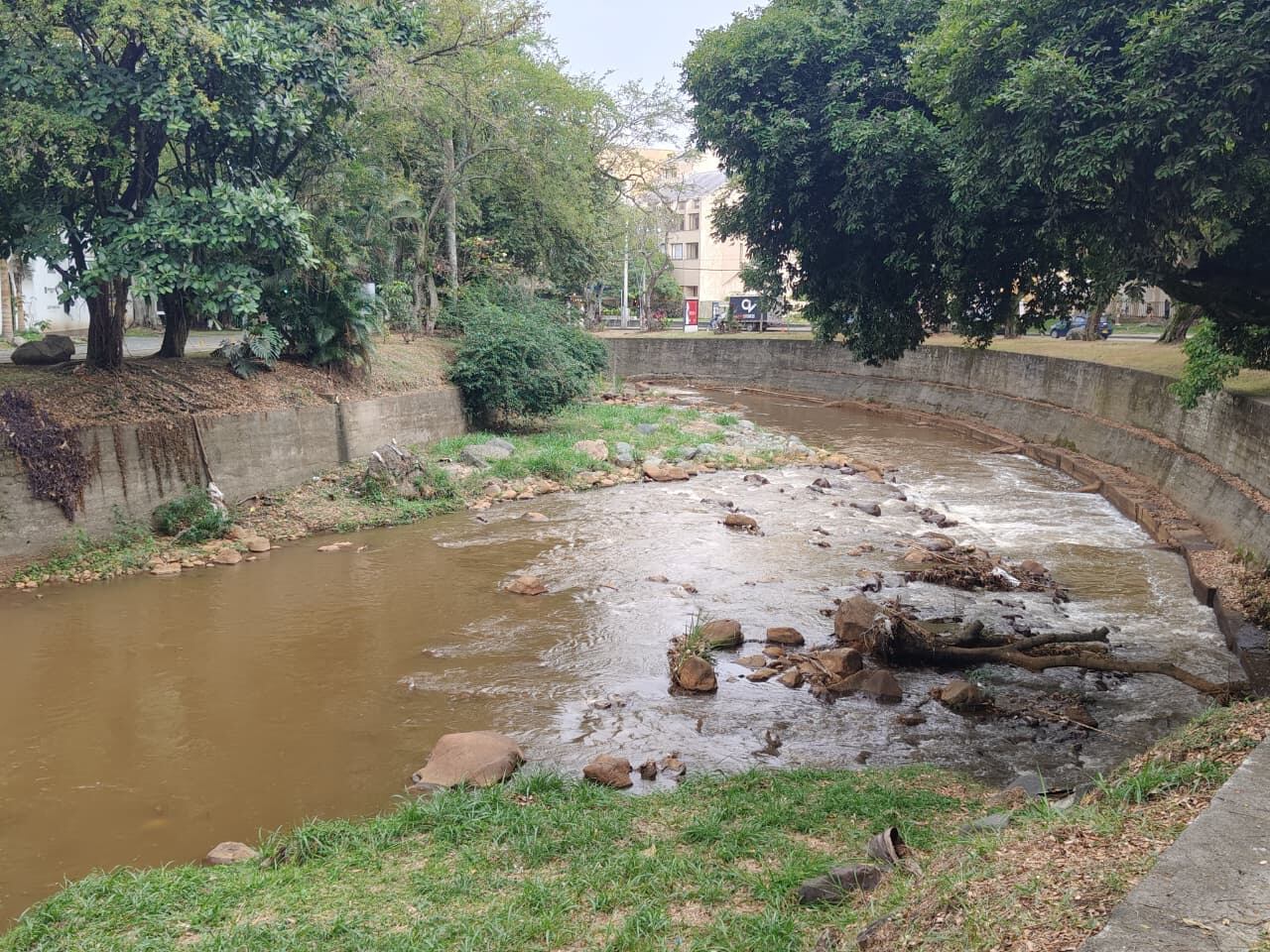 Tramos del río Cali, entre los puentes de El Peñón y Carulla, muestran acumulación de residuos y deterioro ambiental, según denuncias ciudadanas.