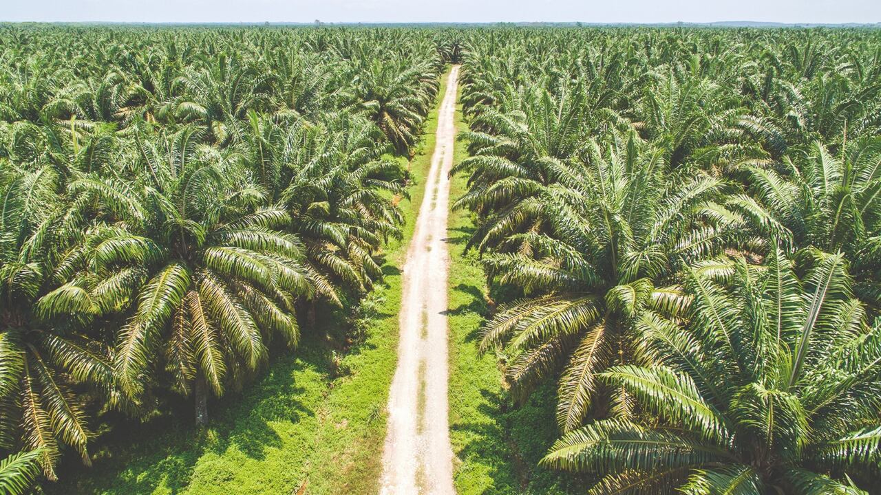 Colombia se prepara para recibir la IV Conferencia Internacional de Biocombustibles