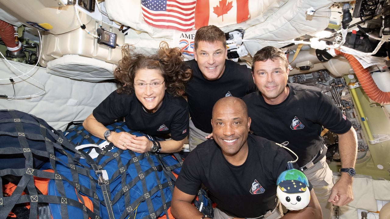 Reid Wiseman, Victor Glover, Christina Koch y Jeremy Hansen, astronautas de la misión.