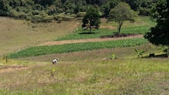 catastro predial valle del cauca