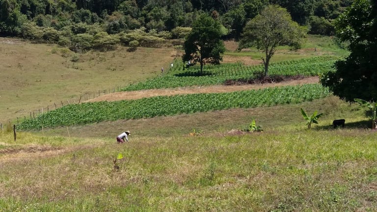 catastro predial valle del cauca
