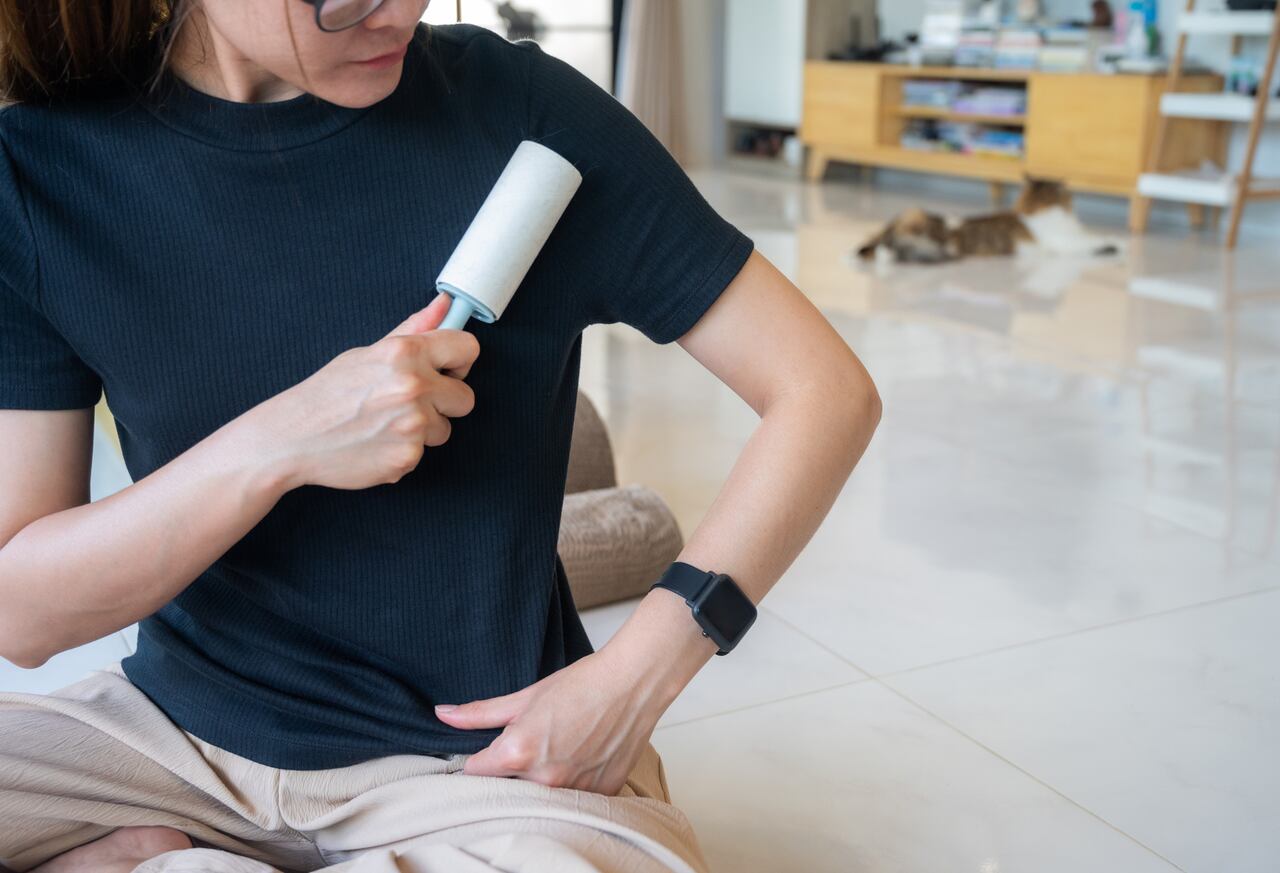 Dog and cat hair holds an electric charge that makes it stick to many surfaces. It's the science of static electricity.