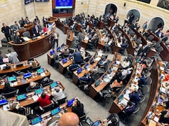 Aunque el Congreso aprobó la reforma pensional, algunos analistas consideran que podría caerse por vícios de trámite. Foto Colprensa
