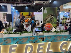 Cali se posiciona como epicentro turístico en Anato 2025