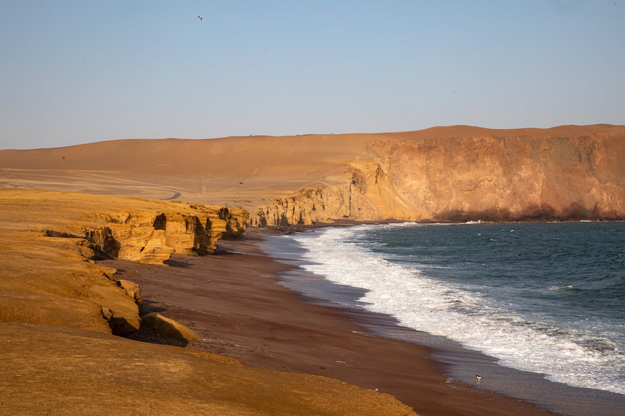 La Playa Roja en la Reserva Nacional de Paracas es una de las cinco en el mundo con este característico color.