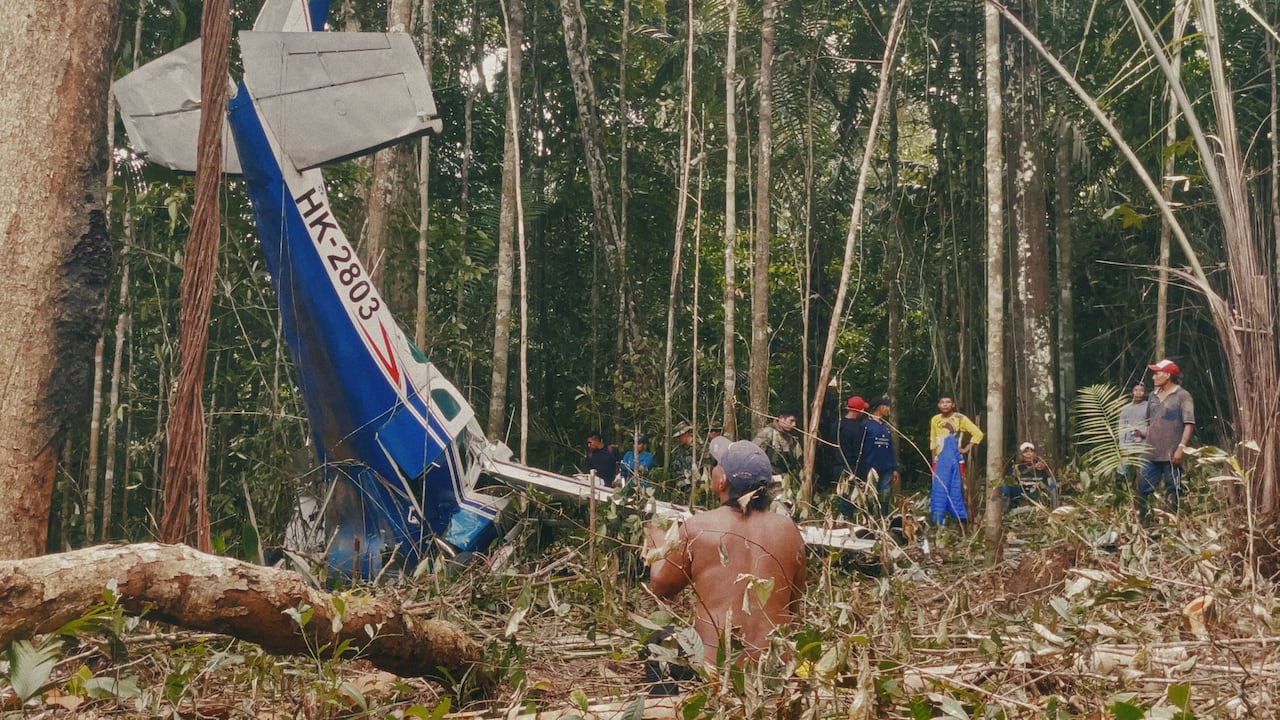 Perdidos en el Amazonas
