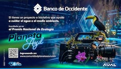 La nueva convocatoria de los Premios Planeta Azul busca reconocer proyectos, empresas y personas que impulsan prácticas sostenibles e innovadoras con impacto positivo en el medio ambiente.