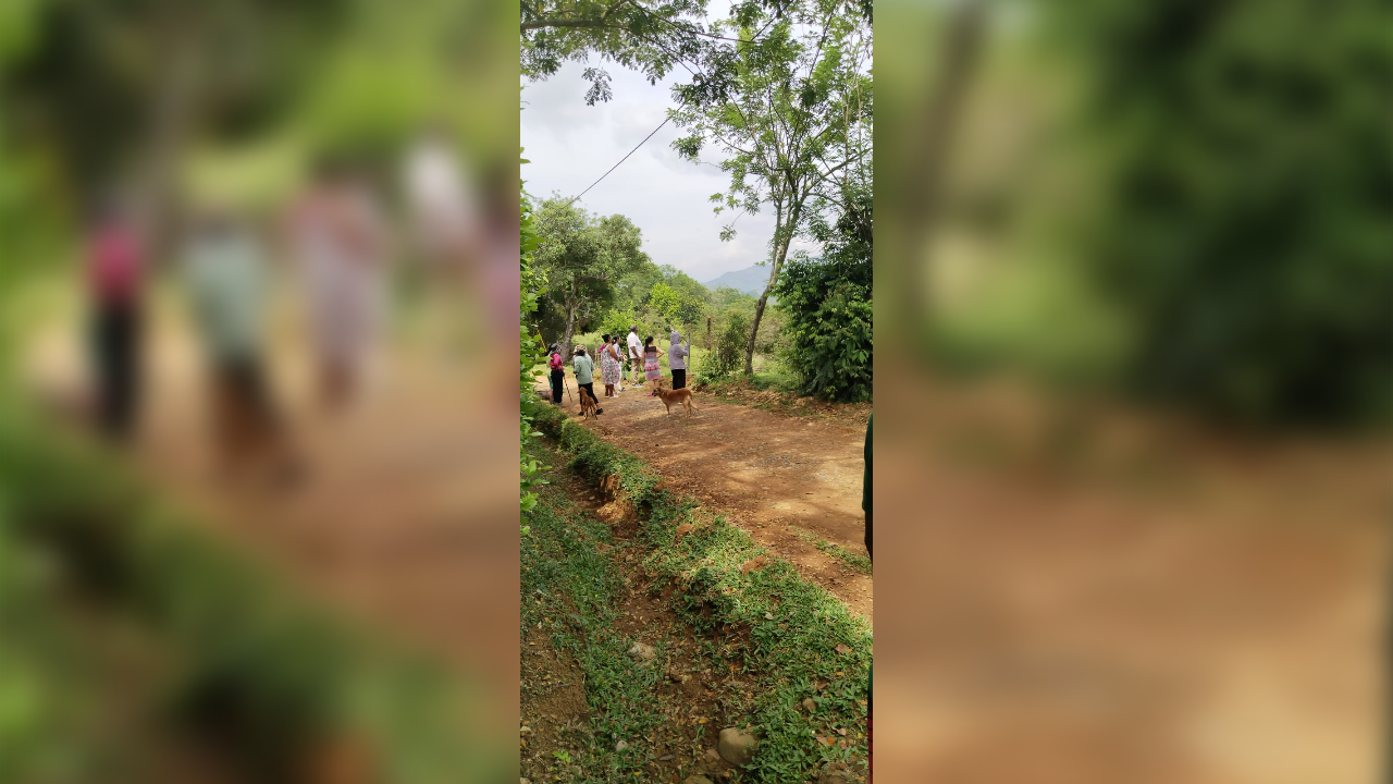 Denuncian invasión en Jamundí