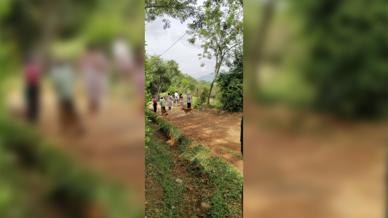 Denuncian invasión en Jamundí