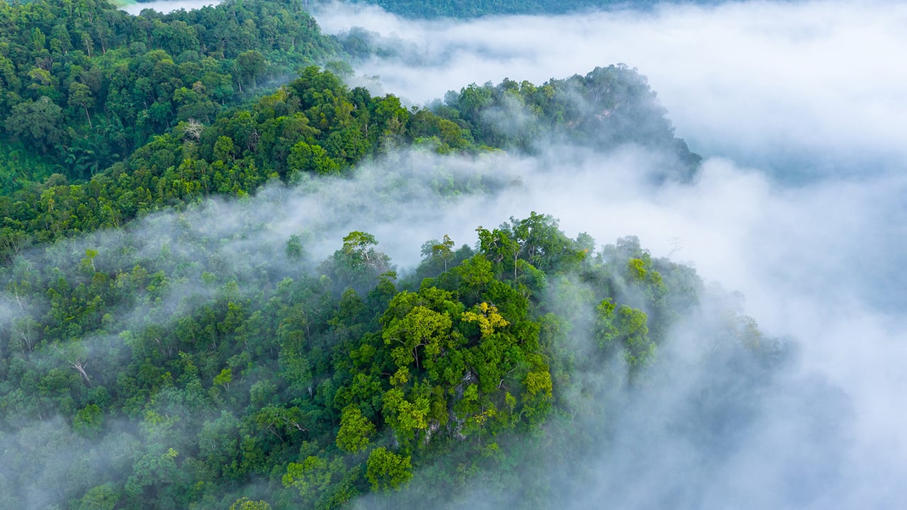 Heladas, niebla, frío.