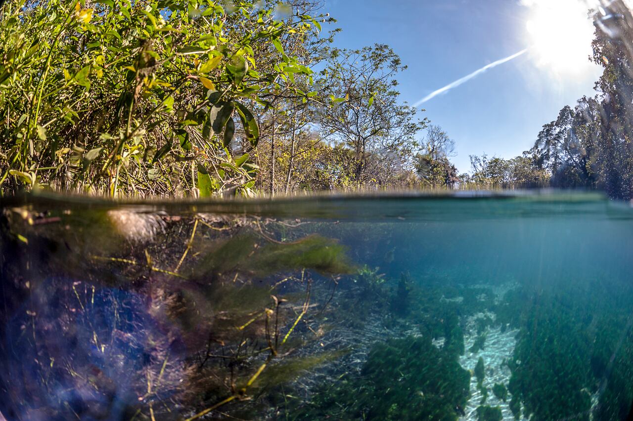Brasil, Bonito, río Sucuri