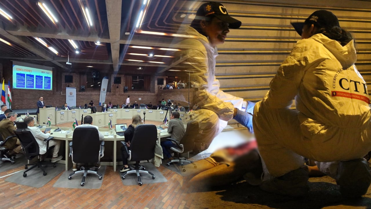 Los concejales cuestionaron al secretario sobre los planes de seguridad.