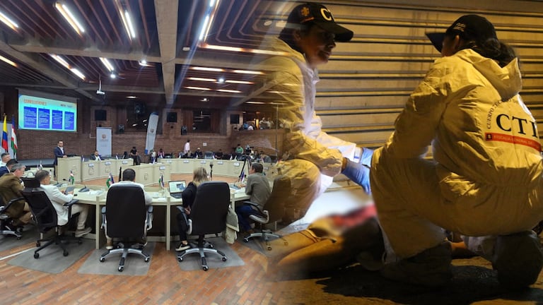 Los concejales cuestionaron al secretario sobre los planes de seguridad.