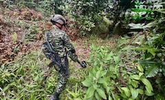 Con este resultado, las autoridades militares señalaron que ya son 335 los explosivos improvisados neutralizados en el Cauca durante el año 2026.