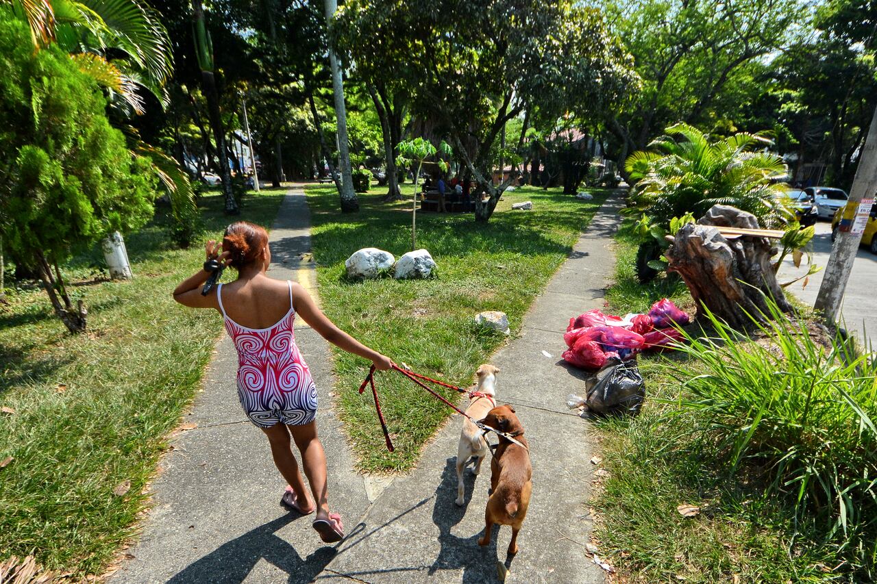 De manera irresponsable fueron dejadas varias bolsas de basura con desechos hospitalarios en el parque del barrio Tequendama ubicado en la carrera 52a con calle 5B. Este es un sector donde hay muchas clínicas y centros de salud y estética.