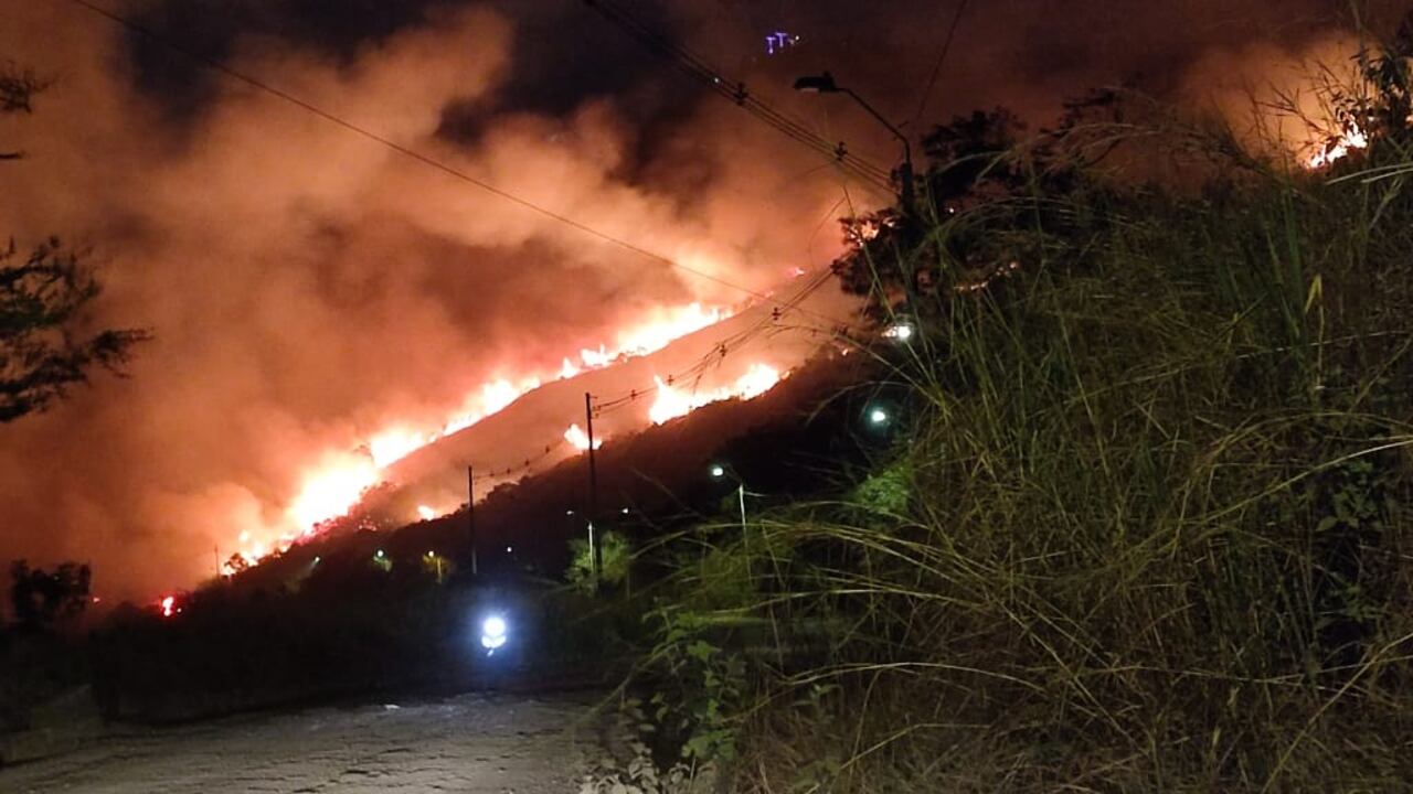Incendios provocados