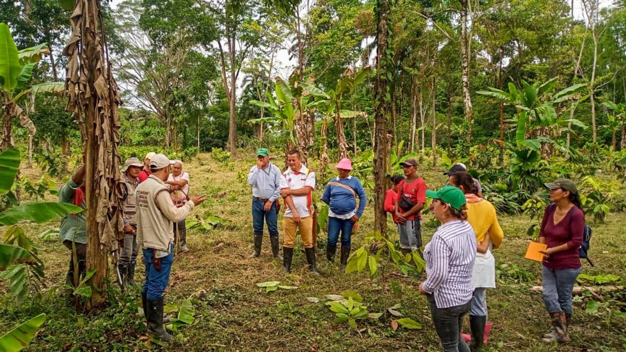 Entidad vallecaucana apoyará a más de 200 organizaciones colombianas.
