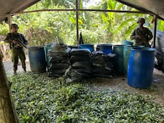 En estas estructuras, llegaban toneladas y toneladas de hoja de coca para después ser procesadas para así obtener la pasta base de coca.