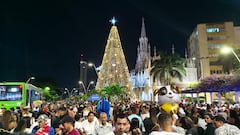 Cali enciende oficialmente su alumbrado navideño inspirado en la biodiversidad del Valle del Cauca