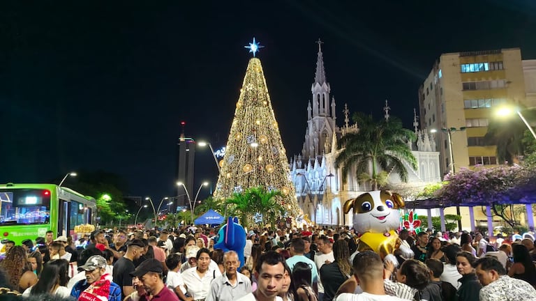 Cali enciende oficialmente su alumbrado navideño inspirado en la biodiversidad del Valle del Cauca