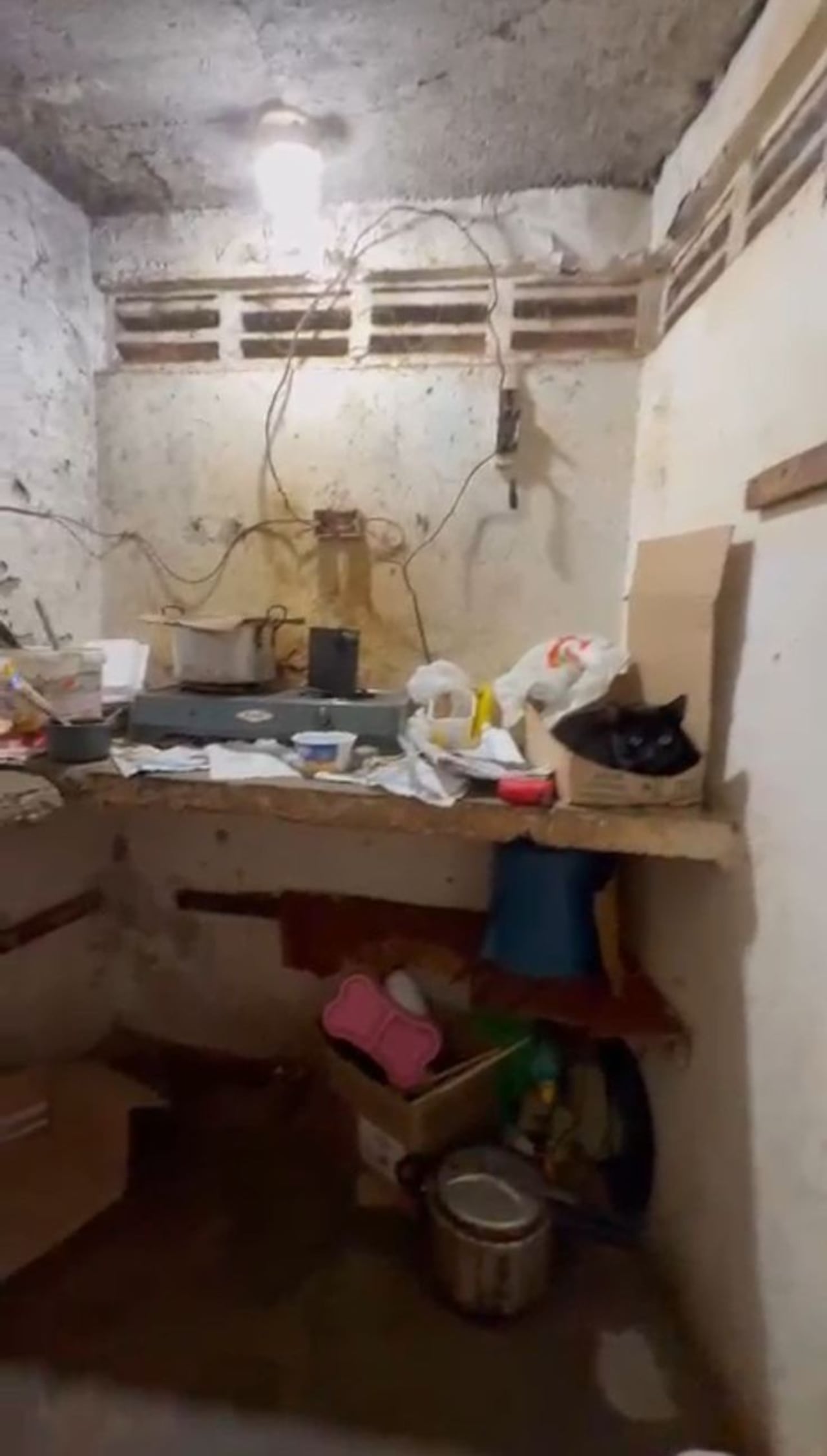 Estas serían las condiciones en las que está el hogar donde habitan los animales.