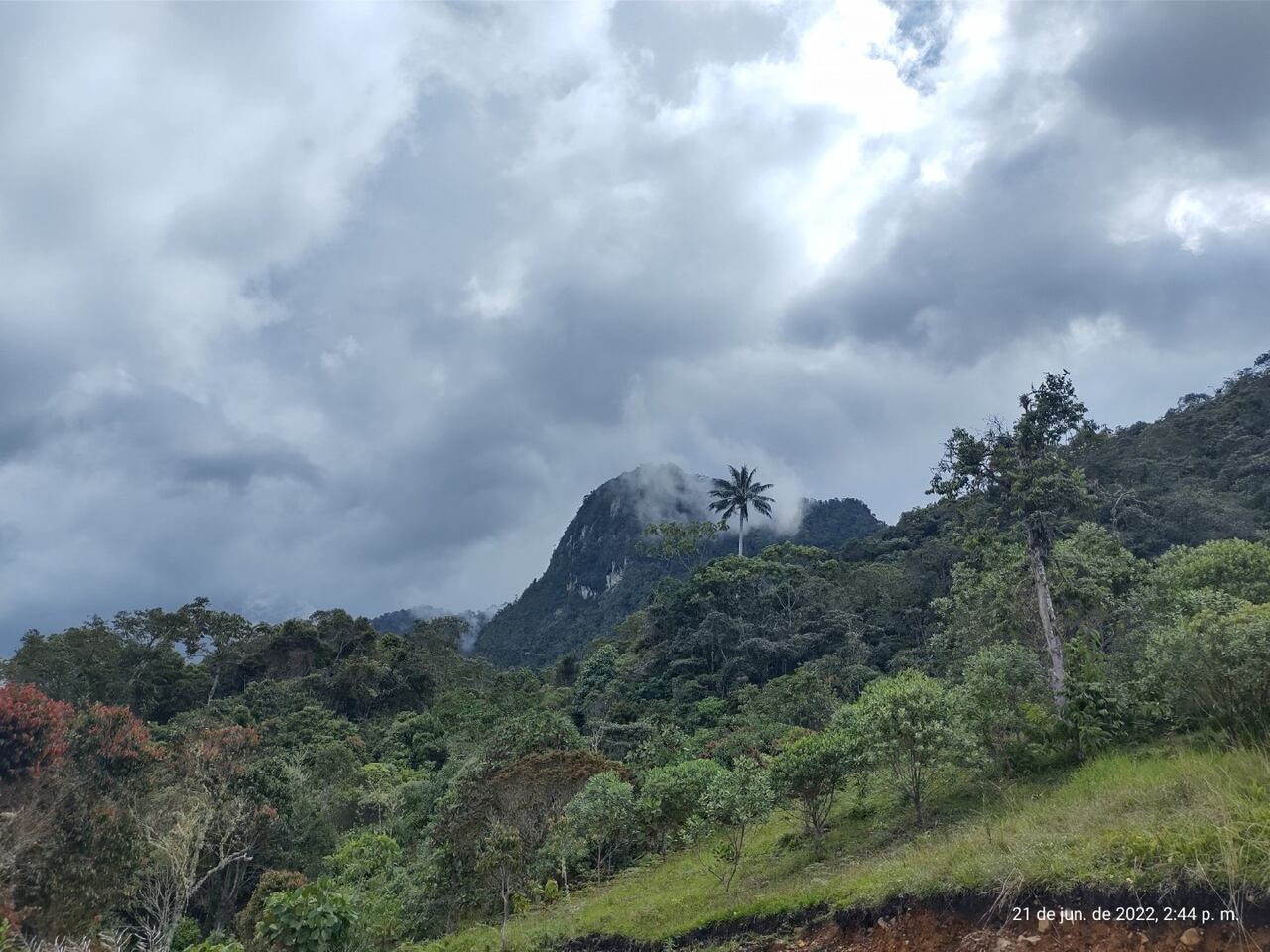 Peñas Blancas. Turismo rural en Cali
