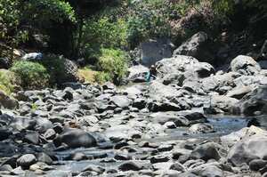 Cali: ( Rio Cauca) Disminución considerable del caudal del río Cali y Meléndez genera preocupación y toma de algunas medidas por parte de Emcali para evitar el suministro del preciado líquido en las laderas inicialmente. Foto José L Guzmán. El País. sept 21-23