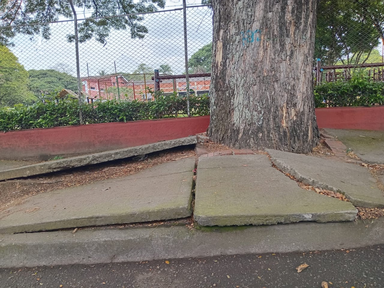 Padres de familia señalaron que algunos estudiantes se han caído al transitar por el andén durante la entrada y salida del colegio.