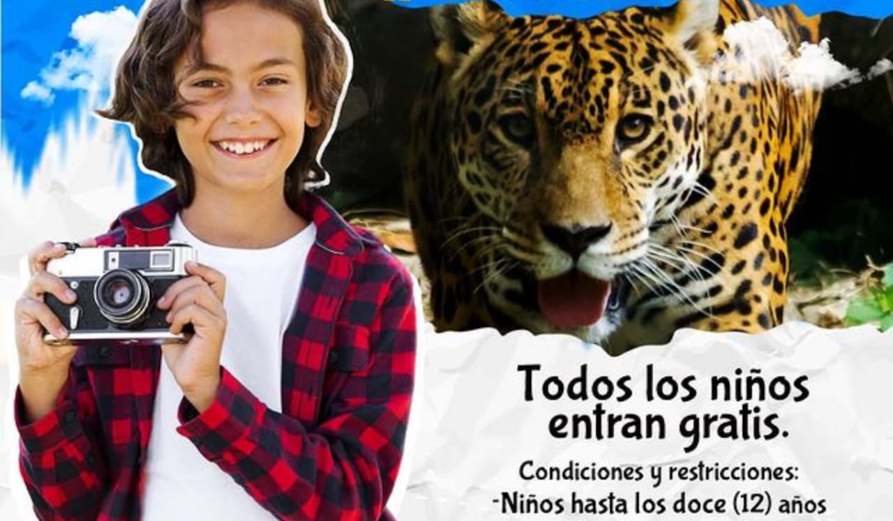 Zoológico de Cali anuncia que niños entran gratis en estas fechas.