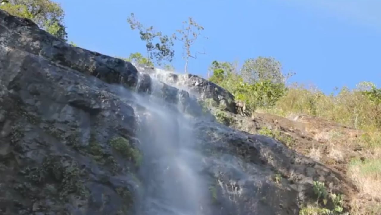 Destinos para visitar en Cali durante la COP16: algunos se destacan por su biodiversidad y otros por su oferta de entretenimiento